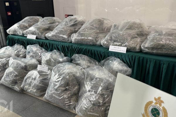 海關查獲3500萬大麻花