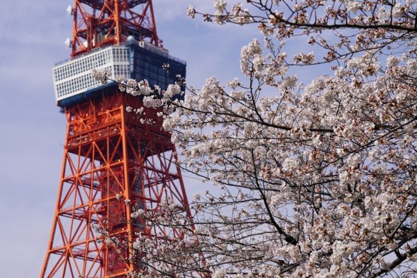 日本地震後,料報團量大減,縱橫遊推出新招,暑假團2成人可免費攜1童