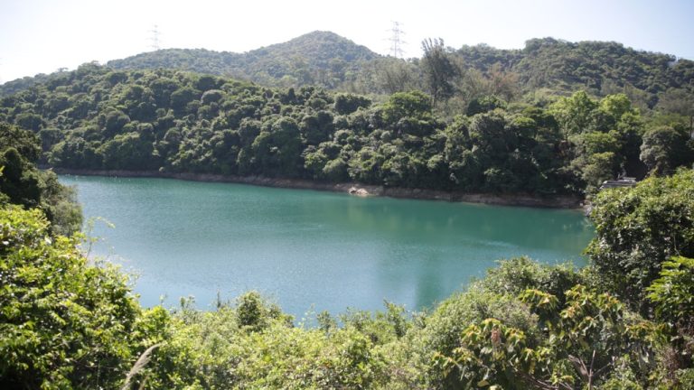 東江水大腸桿菌超標，發展局回應：媒體報道不全面