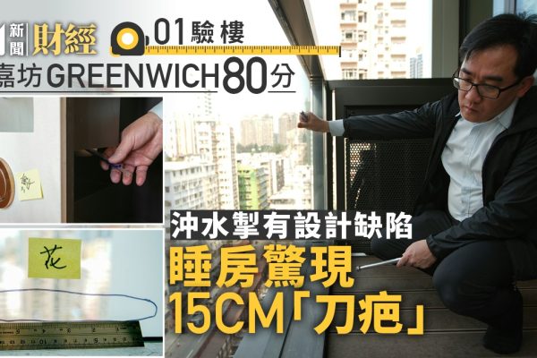 「必嘉坊GREENWICH驗樓揭秘:沖水掣缺陷與刀疤睡房」