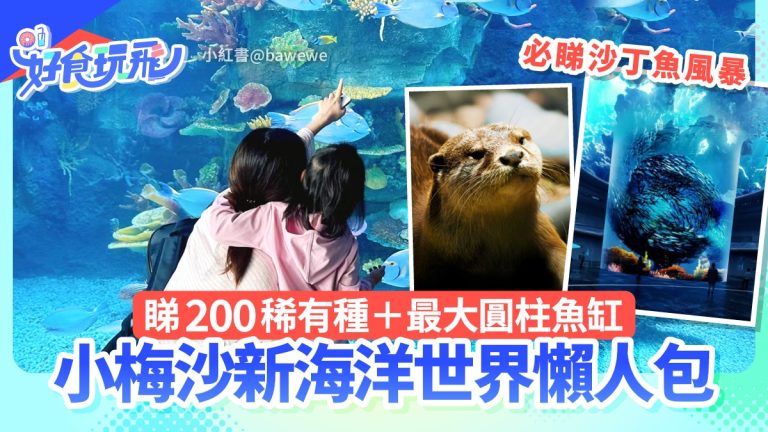 小梅沙新海洋世界全攻略：圓柱魚缸與機甲鯨鯊揭秘